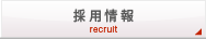 採用情報